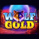 wolf gold